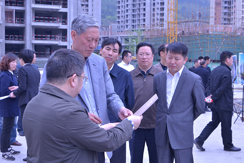 市政协主席王振会一行深入永隆集团调研