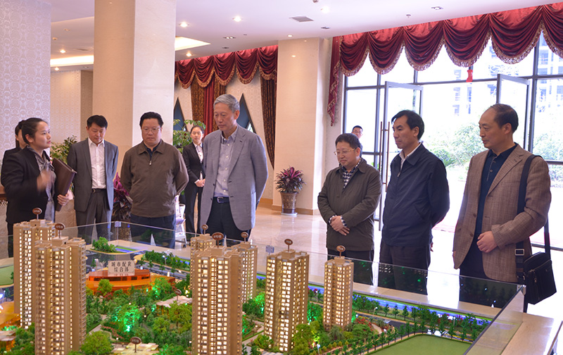 市政协主席王振会一行深入永隆集团调研